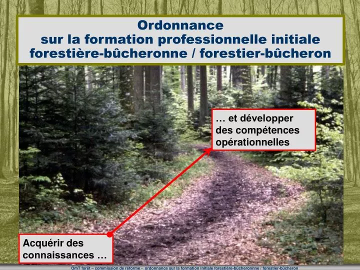 ordonnance sur la formation professionnelle initiale foresti re b cheronne forestier b cheron