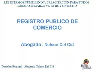 REGISTRO PUBLICO DE COMERCIO Abogado: Nelson Del Cid