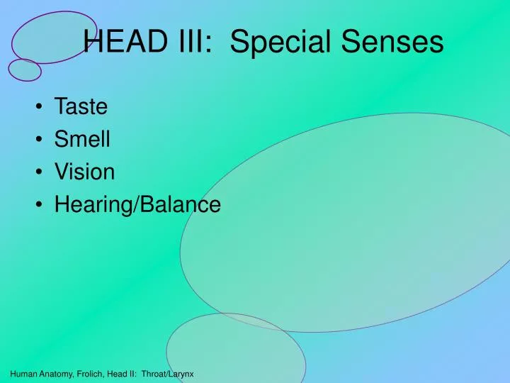 head iii special senses