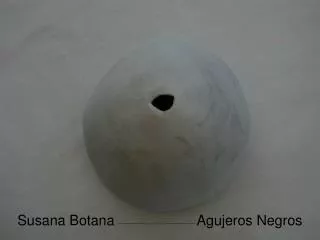 Susana Botana Agujeros Negros