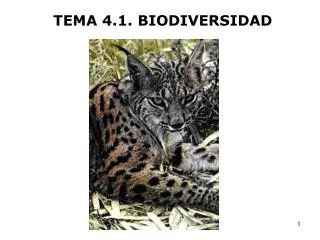 TEMA 4.1. BIODIVERSIDAD