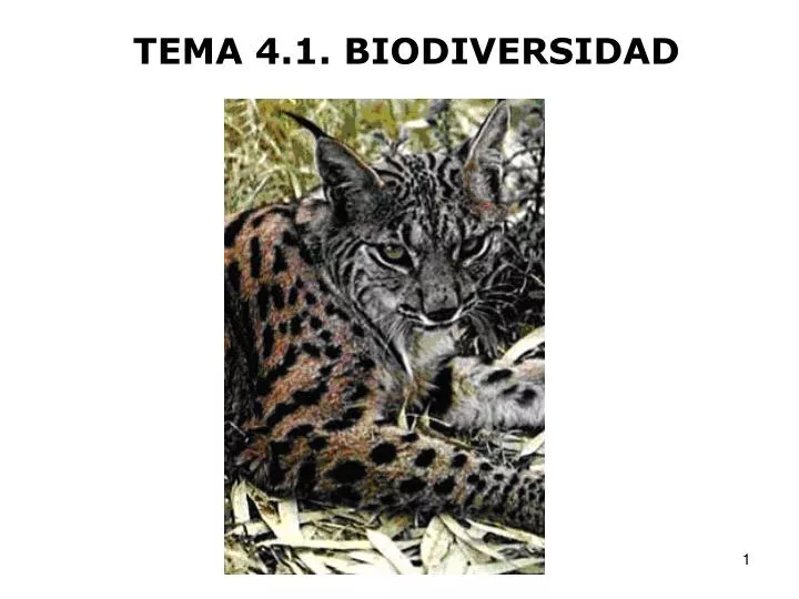 tema 4 1 biodiversidad
