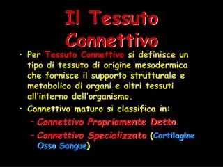 il tessuto connettivo