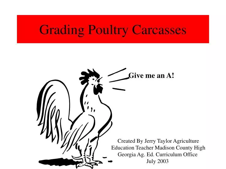 grading poultry carcasses