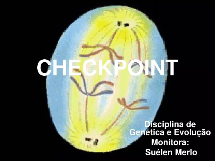 checkpoint