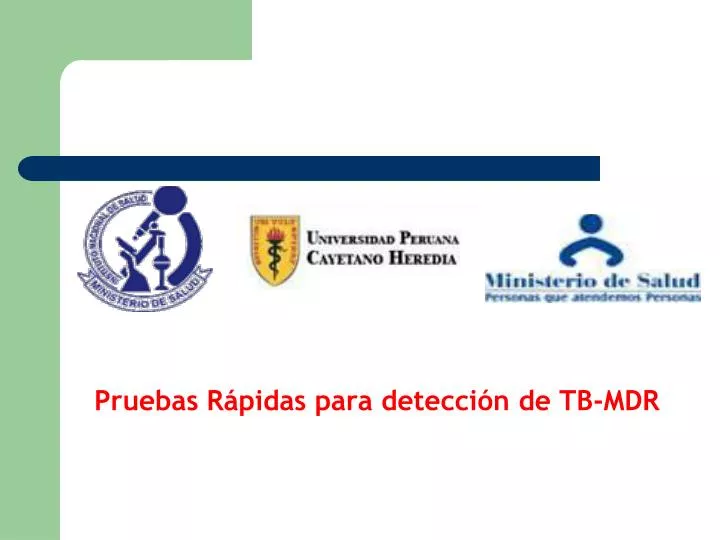 pruebas r pidas para detecci n de tb mdr