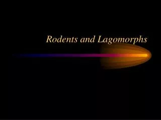 Rodents and Lagomorphs