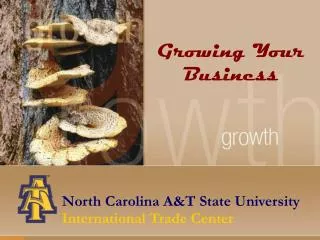 North Carolina A&amp;T State University International Trade Center