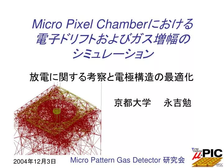micro pixel chamber
