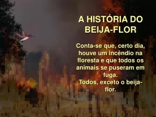 A HISTÓRIA DO BEIJA-FLOR Conta-se que, certo dia, houve um incêndio na floresta e que todos os animais se puseram em fug