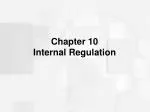 Chapter 10 Internal Regulation - slide 1