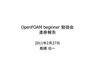 openfoam beginner