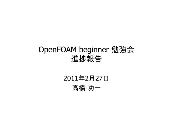 openfoam beginner