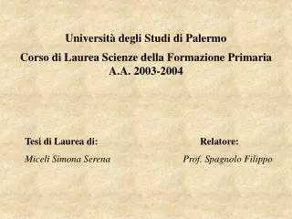 universit degli studi di palermo