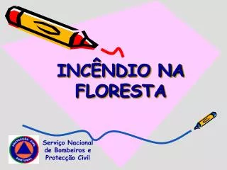 inc ndio na floresta
