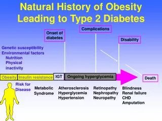 Natural History of Obesity Leading to Type 2 Diabetes