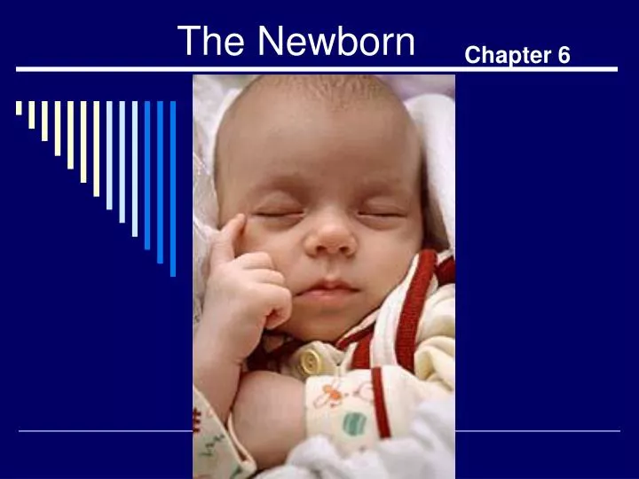 the newborn