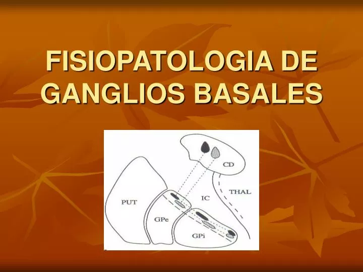 fisiopatologia de ganglios basales