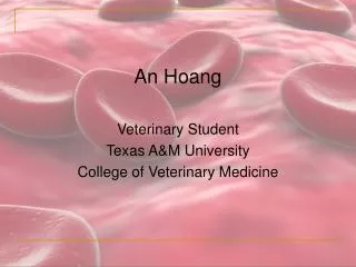An Hoang Veterinary Student Texas A&amp;M University College of Veterinary Medicine