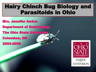 Hairy Chinch Bug Biology and Parasitoids in Ohio