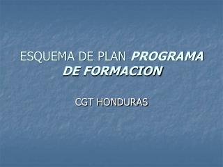 esquema de plan programa de formacion