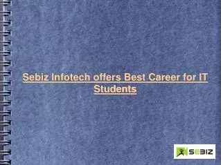 Sebiz Infotech Career