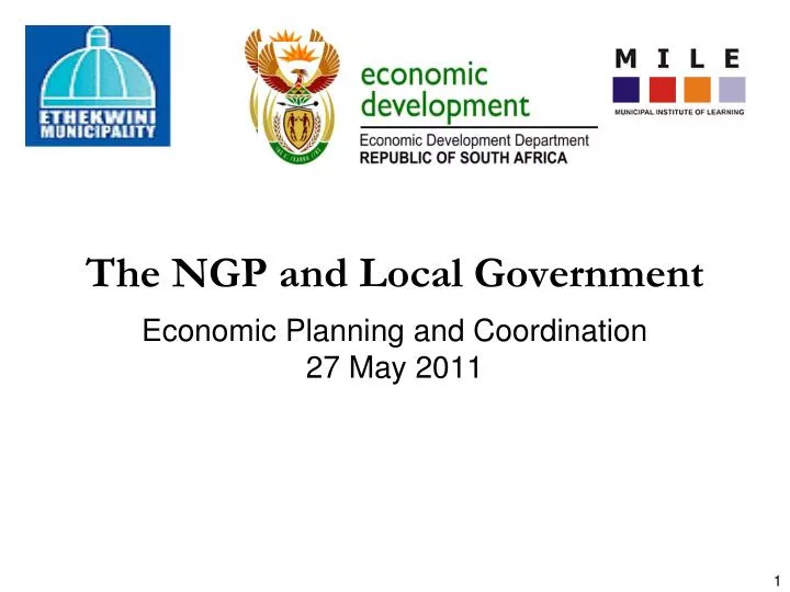 the ngp and local government