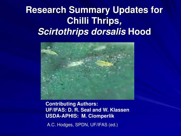 research summary updates for chilli thrips scirtothrips dorsalis hood