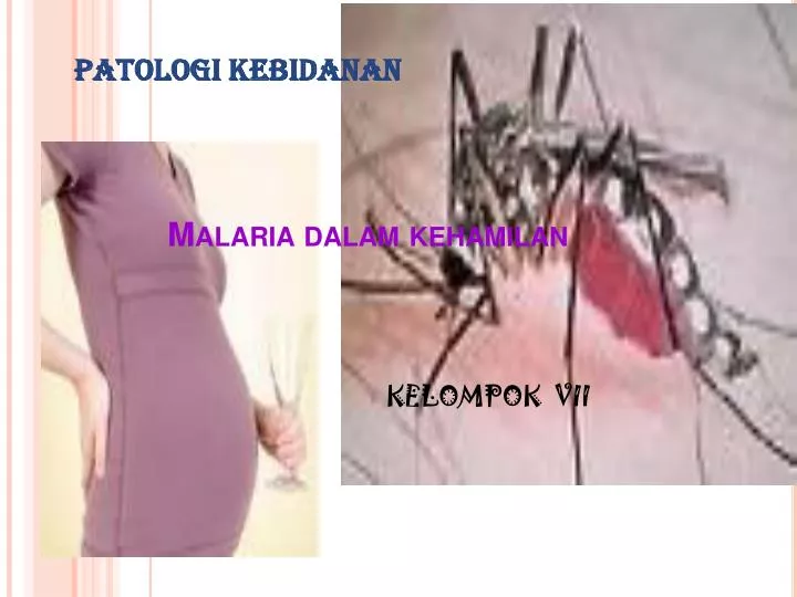 malaria dalam kehamilan