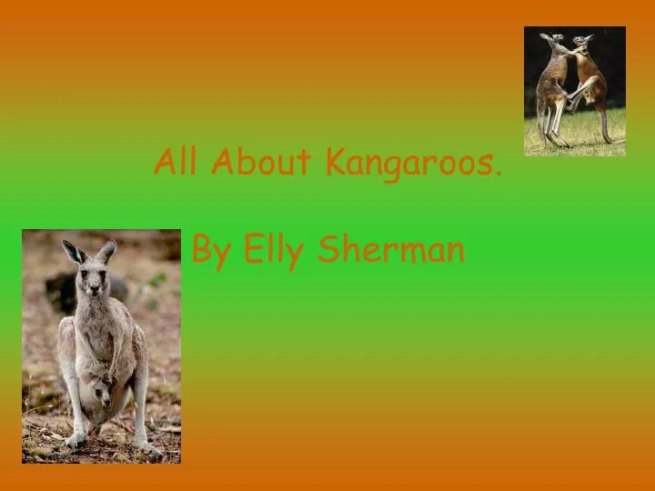 all about kangaroos by elly sherman