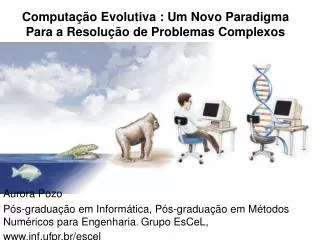 computa o evolutiva um novo paradigma para a resolu o de problemas complexos