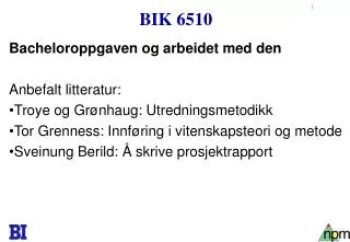 bik 6510