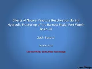 Hydraulic Fracturing in Naturally Fractured Rock