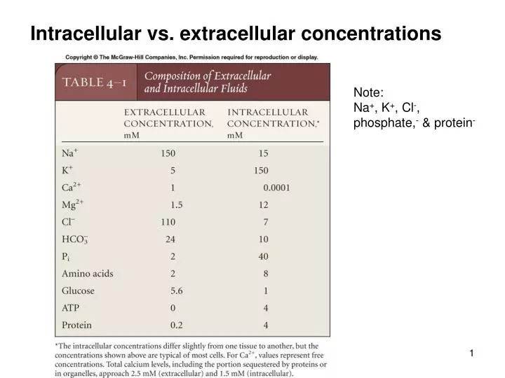 intracellular vs extracellular concentrations