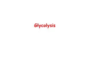 Glycolysis