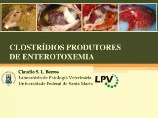 clostr dios produtores de enterotoxemia