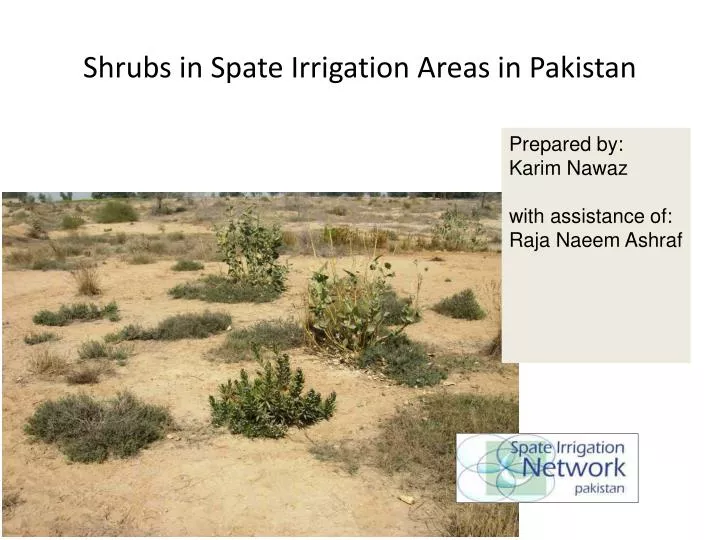 shrubs in spate irrigation areas in pakistan