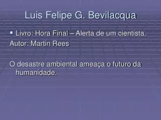 luis felipe g bevilacqua