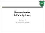 Macromolecules &amp; Carbohydrates - slide 1