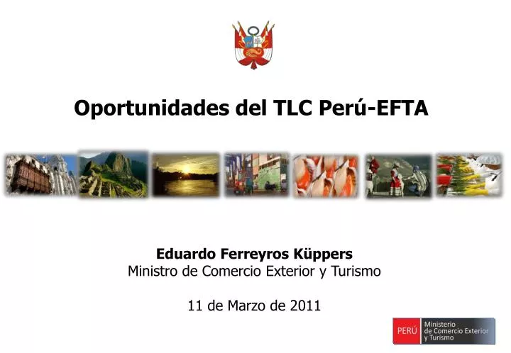 oportunidades del tlc per efta