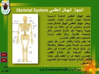 الجهاز الهيكل العظمي Skeletal System ‏