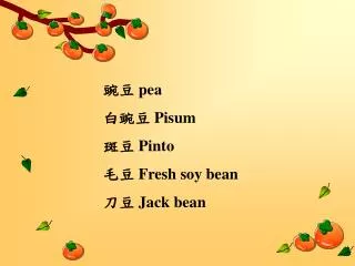 豌豆 pea 白豌豆 Pisum 斑豆 Pinto 毛豆 Fresh soy bean 刀豆 Jack bean