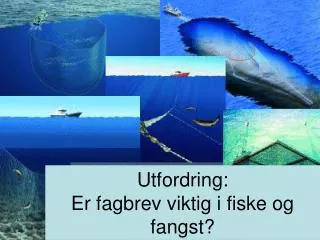 Utfordring: Er fagbrev viktig i fiske og fangst?