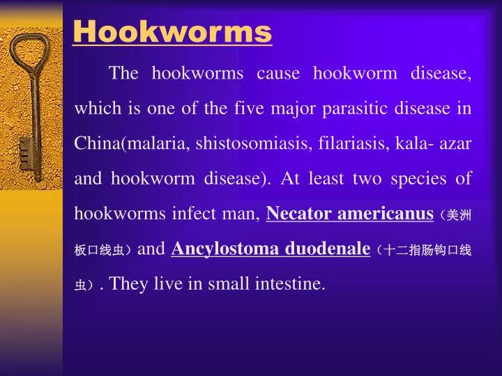hookworms