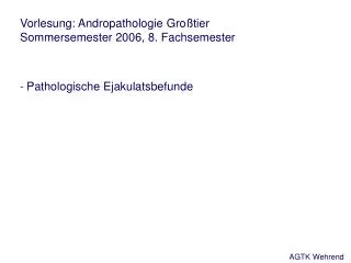Vorlesung: Andropathologie Großtier Sommersemester 2006, 8. Fachsemester - Pathologische Ejakulatsbefunde
