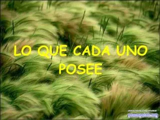 lo que cada uno posee