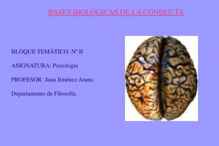 bases biol gicas de la conducta