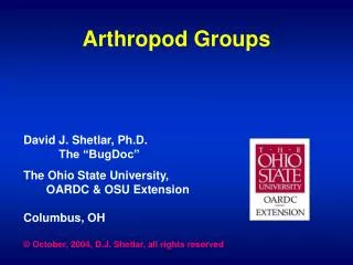 Arthropod Groups