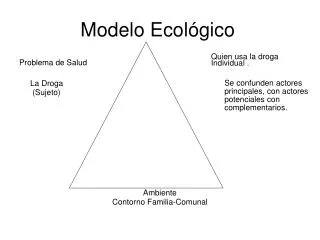 modelo ecol gico