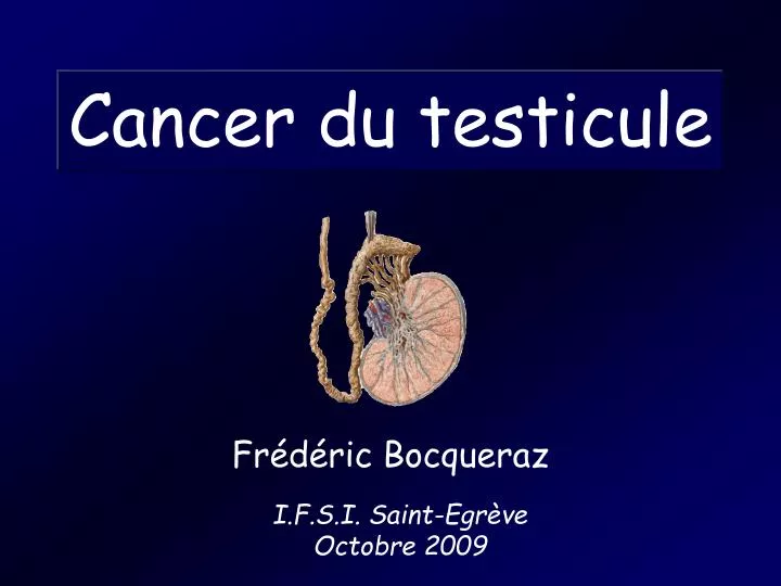 cancer du testicule